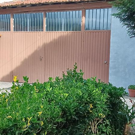 Casa Da Vovo Ceu - Casa De Campo Gandaresa - Country House, Entre Coimbra E Aveiro, A 15 Minutos Carro Praia Mira - Quintal Com Piscina Insuflavel Cantanhede Eksteriør billede