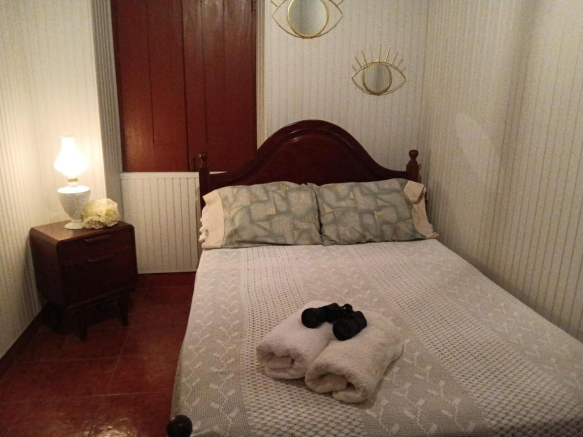 Casa Da Vovo Ceu - Casa De Campo Gandaresa - Country House, Entre Coimbra E Aveiro, A 15 Minutos Carro Praia Mira - Quintal Com Piscina Insuflavel Cantanhede Eksteriør billede